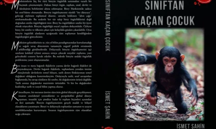 A Critique of Sınıftan Kaçan Çocuk