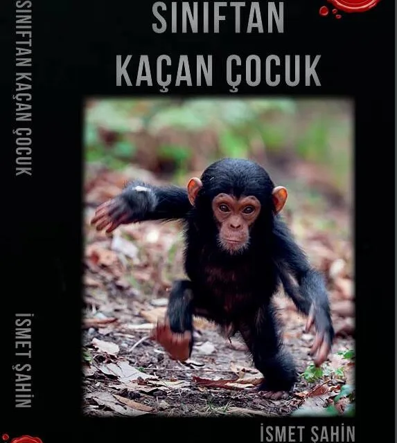 Philosophical Critique of Sınıftan Kaçan Çocuk